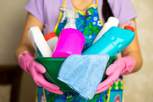 Transparent pricing and example carpet cleaning jobs
