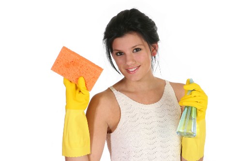 Accessibility support request section for Kenley Carpet Cleaners