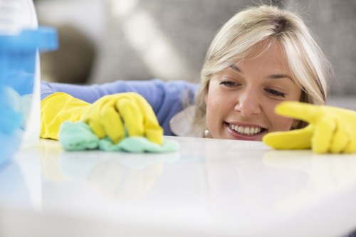 Screen-reader friendly local carpet cleaning information page