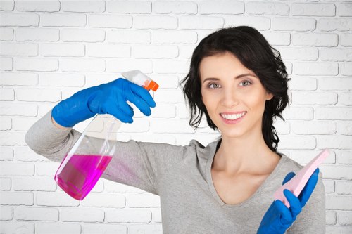 Professional hot water extraction carpet cleaning equipment in Kenley